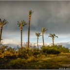 valencia_nikon_sagunt1-56.jpg